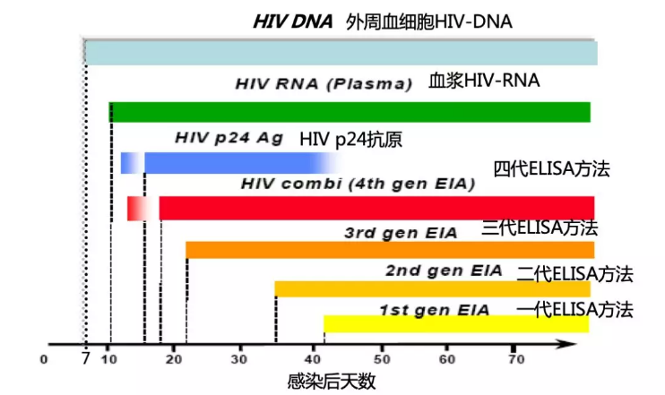 图2　诊断HIV感染各种实验室方法的窗口期