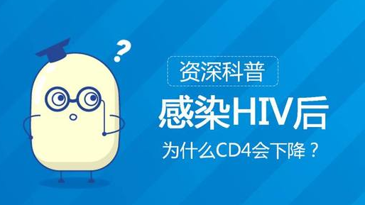 HIV感染者非常在意CD4+T细胞的上升和下降