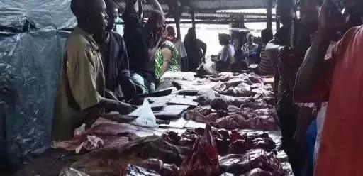 非洲农贸市场贩卖的黑猩猩肉
