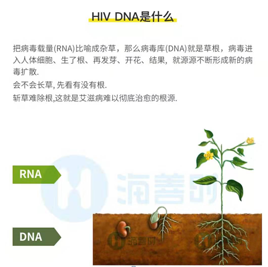 HIV DNA是什么.png