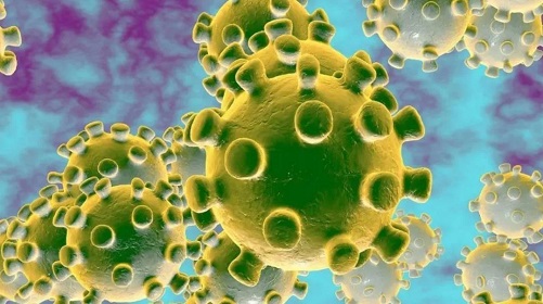 推测HIV感染者不易感染新型冠状病毒