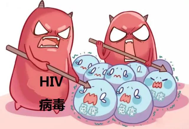 HIV 病毒
